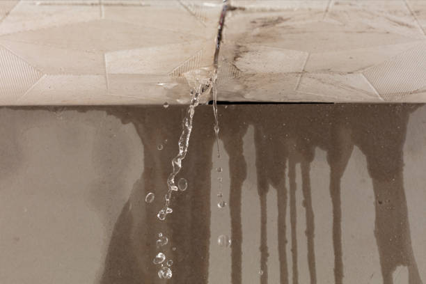 Professional Water Damage Repair technician working in Monroe Bridge, MA